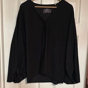 Women’s Panhandle Lurex  Balloon Sleeve Shimmer Top. Size Lage